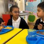 Deep-fried food banned under new school dinner rules in England