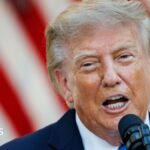 Falkland Islands: Donald Trump hints US would not back UK over Argentina