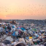 When Did Everything Become Disposable?