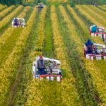 China Audits Farmland Use, Hits Businesses With New Fees Ahead of 2027 Law