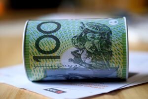 Social Services Department Doesn’t Track Whether Grants Reach Local Councils: Inquiry