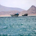 Houthis Capture Strategic Island in Bab al-Mandab Strait