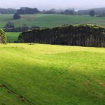 Coalition Moves to Block Net Zero Funding for Foreign Farmland Buyouts