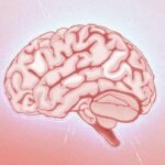 Is Your Brain Causing Your Pain?
