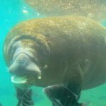 Travelers Engage With Animals at Wildlife Refuges