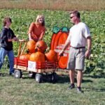Autumn Activities Make for Family Fun