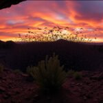 More than 1 million bats emerge from CNN founder Ted Turner’s New Mexico ranch; ancient lava tubes shelter one of North America’s largest bat populations | World News