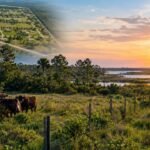 A Florida owner planned 52 ten-acre homesites across his 625-acre cattle ranch if the county would not buy it; after two years of talks, officials agreed to pay $7.8 million and stop the development