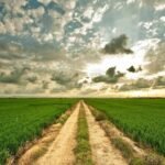 Philip Rietveld assembled nearly 1,500 acres of Illinois and Indiana farmland over his lifetime; after his death in 2026, his family sold 23 tracts for $22.46 million, with one fetching $32,600 an acre