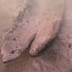 Wisconsin diver Mark Schachtner was searching Pewaukee Lake for old bottles when he spotted a 17-foot canoe 15 feet underwater; radiocarbon dating has now confirmed it is about 1,000 years old