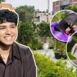 “If you plant three types of plants…”: This Delhi terrace has more than 500 plants and attracts 100+ bird species and 25+ butterflies; how Aman Sharma turned a barren space into an ‘urban jungle’