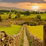 ​For 10 years, farmers across 13,500 hectares of southern England coordinated habitat work; one cluster recorded a 346% rise in corn buntings and a 183% rise in butterfly abundance over the decade