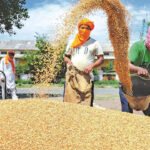 Wheat Msp Hike: 25 paisa/kg wheat MSP hike an ‘insult’: Samyukta Kisan Morcha | India News