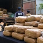237kg ganja, Rs 14.24 lakh haul: 3 get 4 years in jail in Lucknow drug money laundering case | Lucknow News