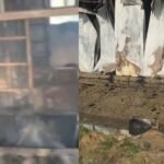 Major fire guts makeshift labour camp outside Lucknow airport; 500 workers evacuated | Lucknow News
