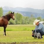 A Colorado ranch homesteaded before statehood stayed with the same family for six generations; more than 150 years later, 650 of its roughly 700 acres were permanently protected from subdivision | World News