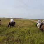 Texas ranchers blocked well operators from a 1,604-acre tract in 2004; on October 1, an appeals court ruled an oil company may cross the land to plug a shut-in well 15 to 20 yards from the San Antonio River