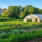 After more than six generations of family ownership, a Massachusetts nonprofit raised over $4.9 million to buy 5.23-acre Holly Hill Farm and permanently protect the centuries-old piece of farmland