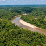 Marion: A 2,600-acre South Carolina timber property at the rivers where Revolutionary War commander Francis Marion hid from British forces has been transferred to the state, advancing a 7,600-acre conservation project with 60+ miles of riverfront