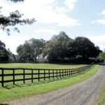 Jon Stewart Farm: Jon Stewart and his wife Tracey paid $4 million for a historic 45-acre New Jersey farm in 2016; the property now grows crops and cares for rescued cows, sheep, goats, pigs and chickens through their sanctuary foundation