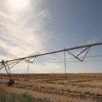 Idaho family has farmed 1,000 acres since 1950; after the state largely shut off its irrigation water in 2025, the owners say crops failed and are now suing to protect the family farm