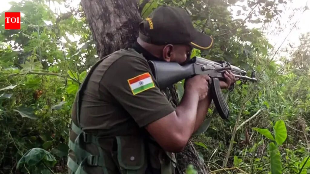 Police recover arms, ammunition from north Kashmir forests | India News