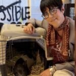 A pig became famous after running through Hollywood; Oscar-nominated songwriter Diane Warren won him in a silent auction and sent him to a 7-acre sanctuary | World News