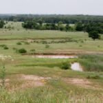 In 1958, Texas voters rejected a $15 million reservoir plan; 68 years later, a judge overturned a new permit for Lake Ringgold after ranchers warned the project could flood more than 16,000 acres of farmland
