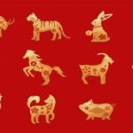 Horoscope Today, October 11, 2026: Family Matters Could Bring a Surprise for These Chinese Zodiac Animals