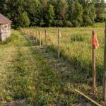 A Michigan couple bought land at a 2015 tax sale and claimed a 50-foot strip lost through a 1965 deed error; after two surveys put it with their neighbour, an appeals court ruled against them