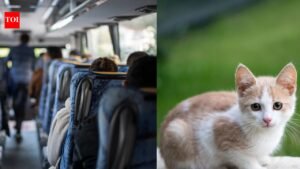A 67-year-old Maryland school bus driver was removed from her route after allowing a 10-year-old boy to step off and rescue a kitten; a petition seeking her reinstatement have 800 plus signatures