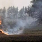 Stubble Burning: Centre asks states to go into ‘mission mode’ to curb stubble burning as farm fires rise in MP, Rajasthan | India News