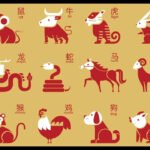 Horoscope Today, October 14, 2026: A Sudden Change in Plans Could Work in Favour of These Zodiac Animals