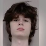 ‘Timely action’: India lauds US response after Illinois teen held over Hindu temple attack plot | India News