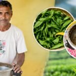An old pressure cooker + mixer-grinder became a tea-processing machine: Meet 51-year-old Assam farmer Ratan Ray, whose low-cost invention crushes, tears and curls tea leaves