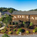 A California winery founded in 1981 faces an October 15 buyer deadline after a $12.7 million judgment and Chapter 11 case; court filings put a sale at $3.8M-$6.7M versus $1.4M-$2.8M in liquidation