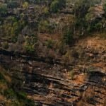 UP tiger reserves, wildlife sanctuaries to reopen for tourists from Nov 1 | Lucknow News