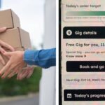 College student works as Blinkit delivery executive for 6.5 hours, reveals how much he earned after 19 orders