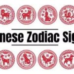 Horoscope Today, October 16, 2026: Some Chinese Zodiac Animals May Get Support Today, While Others Should Watch Their Promises