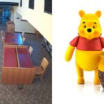 Black Bear breaks into California library and goes straight for the honey on Winnie-the-Pooh’s 100th birthday |