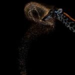 72-year old Vaidehi Chandrasekar won gold at the 2026 World Nature Photography Award for clicking a giraffe expelling a perfect arc of water after drinking in Botswana