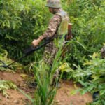 Man killed, four injured in suspected militant attack on Kuki village in Manipur | India News