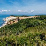 Martha’s Vineyard rejected a 54-acre subdivision with 26 below-market lots and 19 luxury homes after seven marathon meetings, leaving land bought for $6.6 million in 2017 undeveloped for now