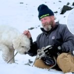 Dog survives 50 hours alone in Alaska wilderness after avalanche; how rescuers finally found the 4-year-old poodle-husky