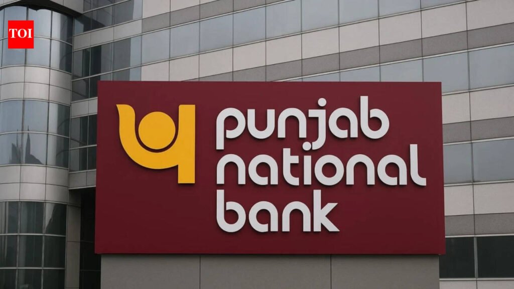 PNB ventures to win back young customers