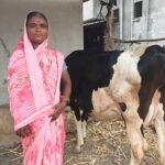 She once worked in fields for ₹200 and saved ₹100 a day; today Maharashtra’s Sunita Nehare manages her family’s 12-acre farm after transforming its cotton harvest