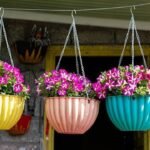 3 natural fertilizers to help petunias grow healthier and bloom beautifully