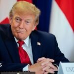Trump’s AI rebrand causes ‘unprecedented’ demand for Slovenian website names