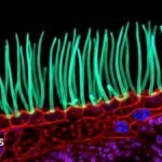 Tiny image sparks big backlash in Nikon photo contest
