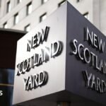No further action against government adviser’s wife over Palestine Action post, police say